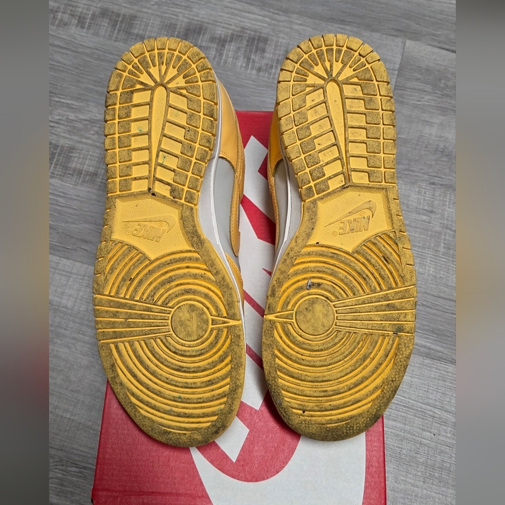 Nike Dunk Pulse - Picture 5 of 5